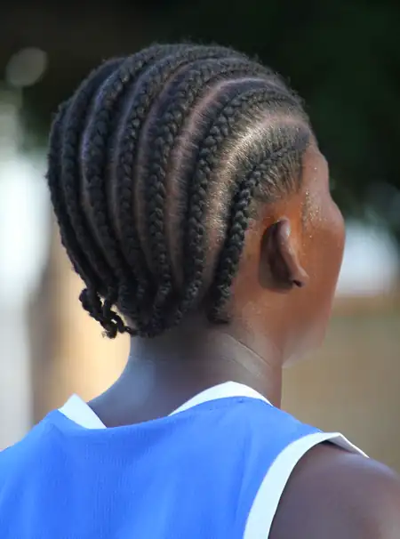 Cornrows rentes à cabeça, vistas de trás
