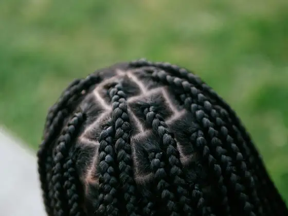 Tranças sem nó vistas de cima, com as divisões do cabelo bem marcadas